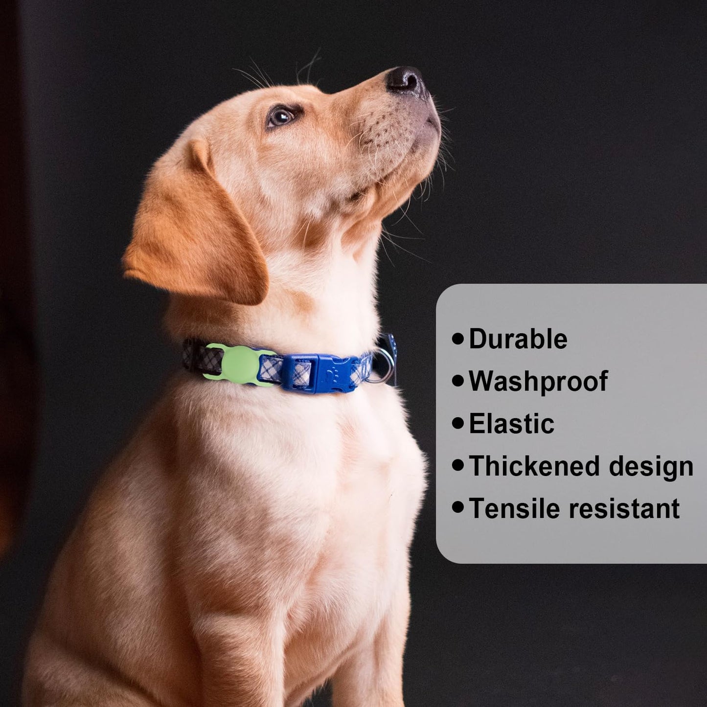 PawTrack Silicone AirTag Holder